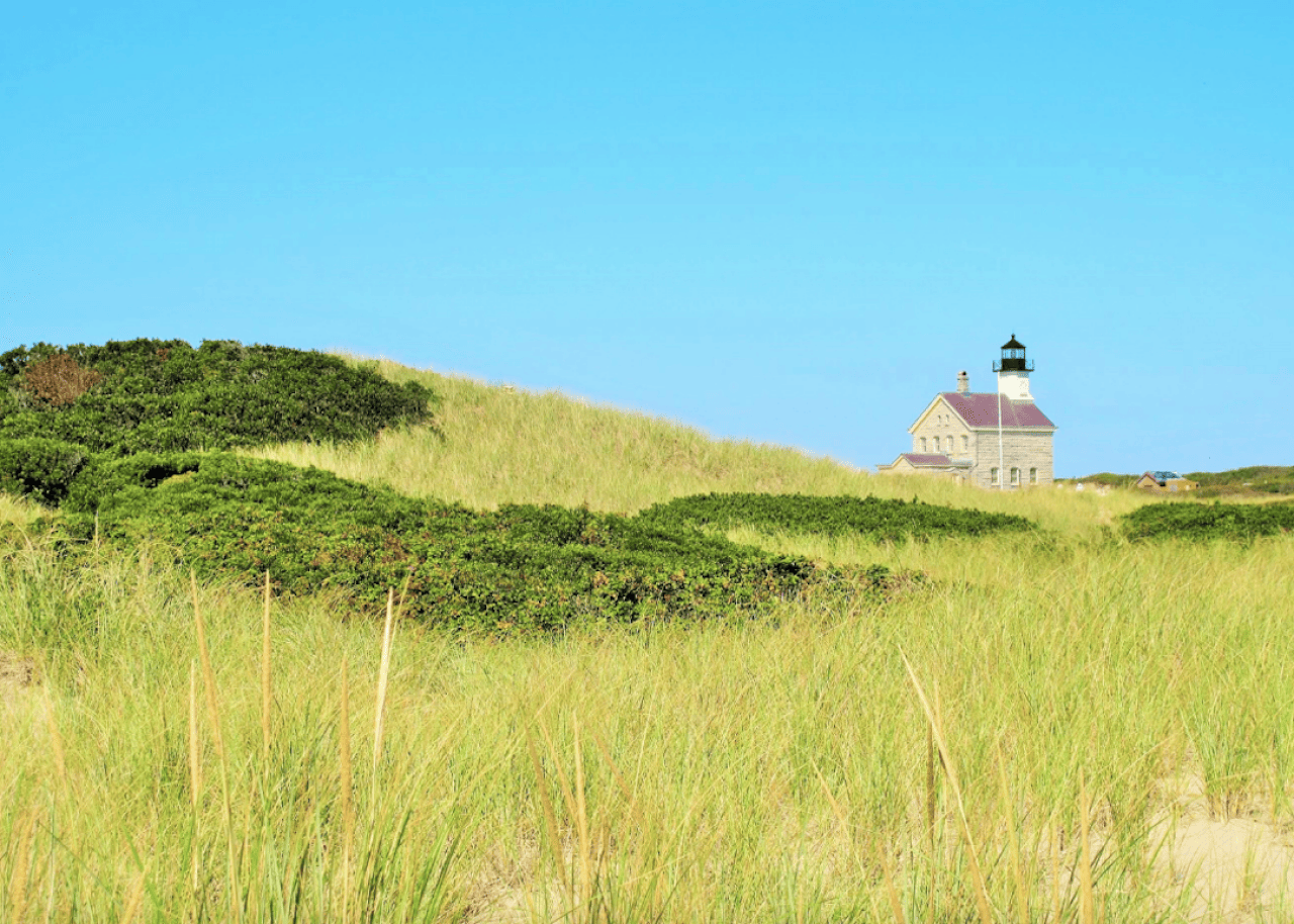 Grassy dune and lighthouse