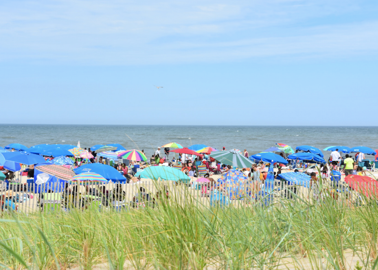 Colorful umbrellas at the beach