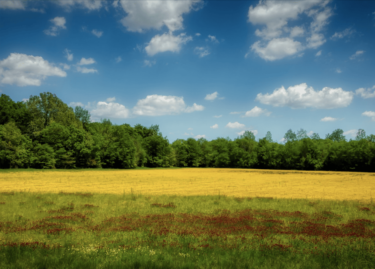 Sun shines on farmland