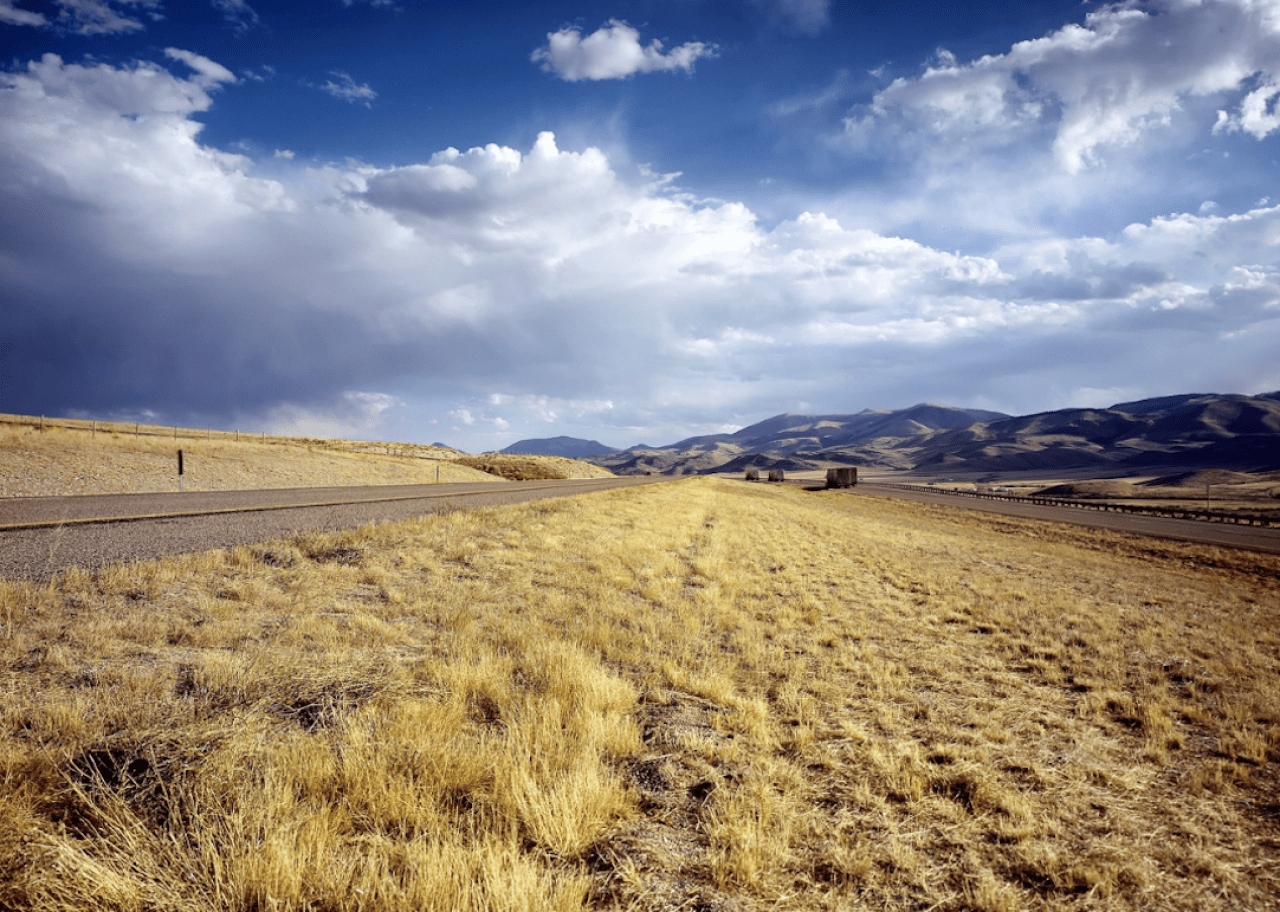 Brown scrubland near a highway