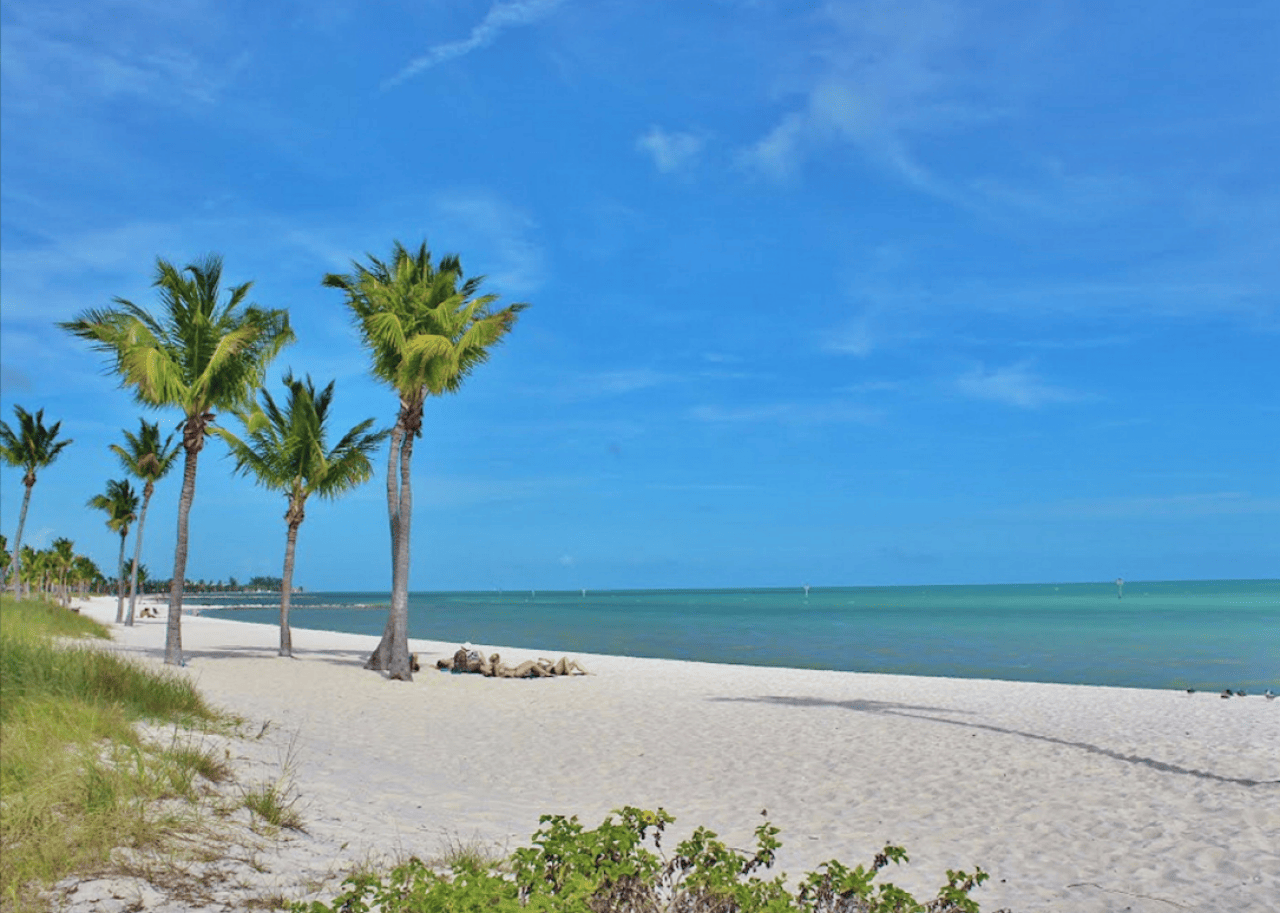 Sunbathers soaking up rays at a beach
