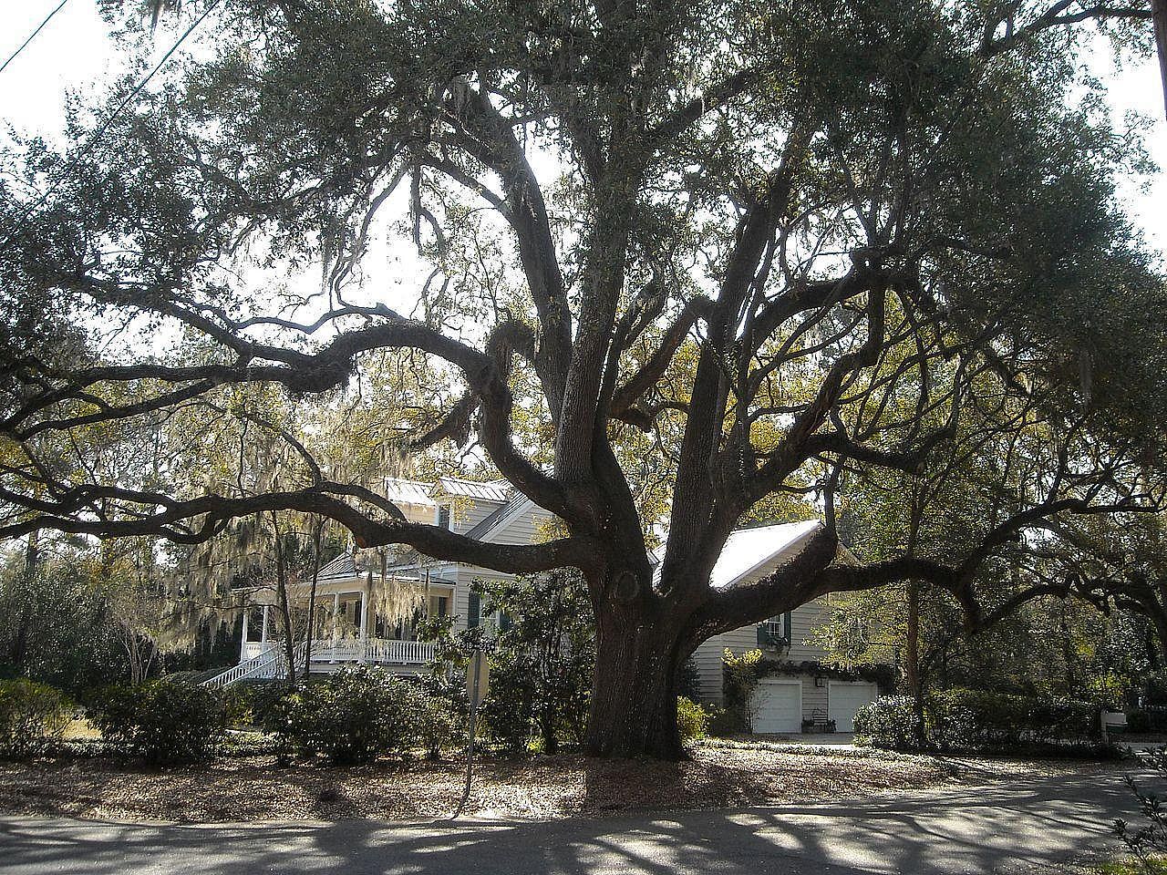 #11. South Carolina