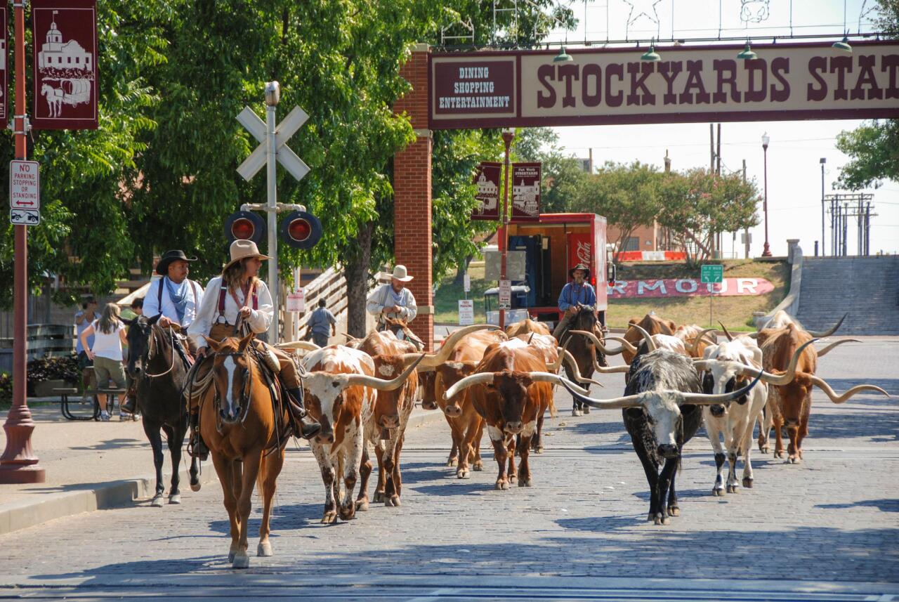 Historic Fort Worth Stockyards and Texas longhorn cattle.