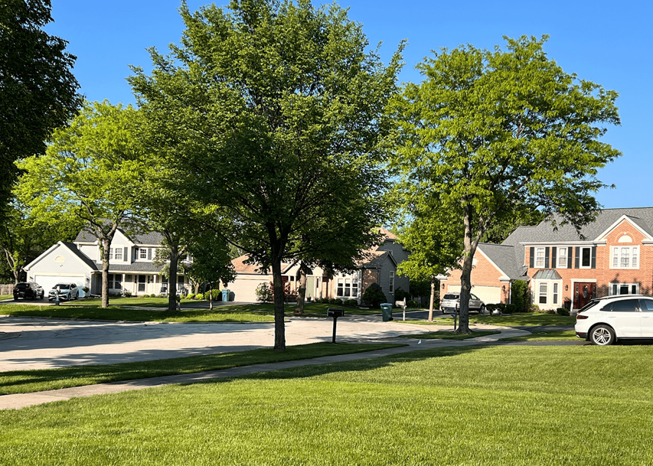 Neighborhood cul-de-sac in Buffalo Grove.