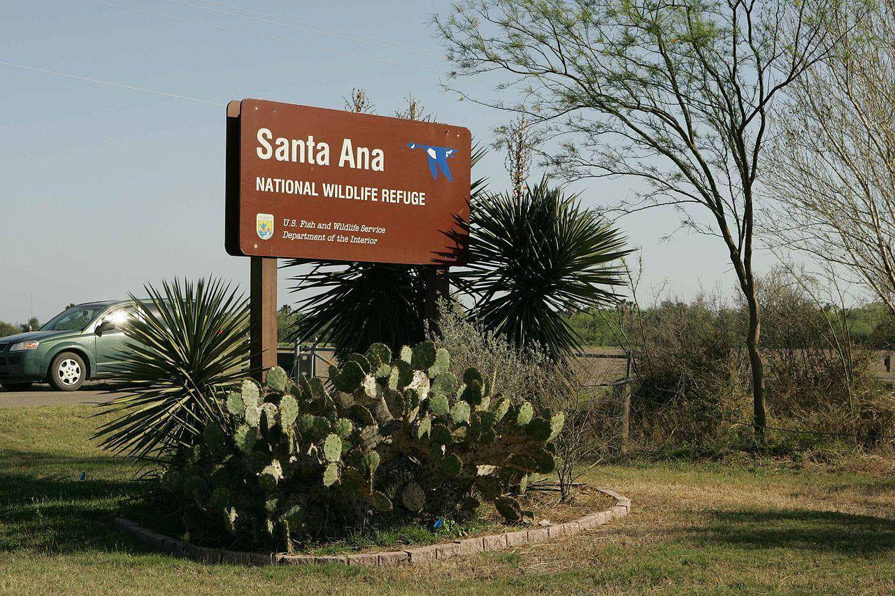 Alamo, TX