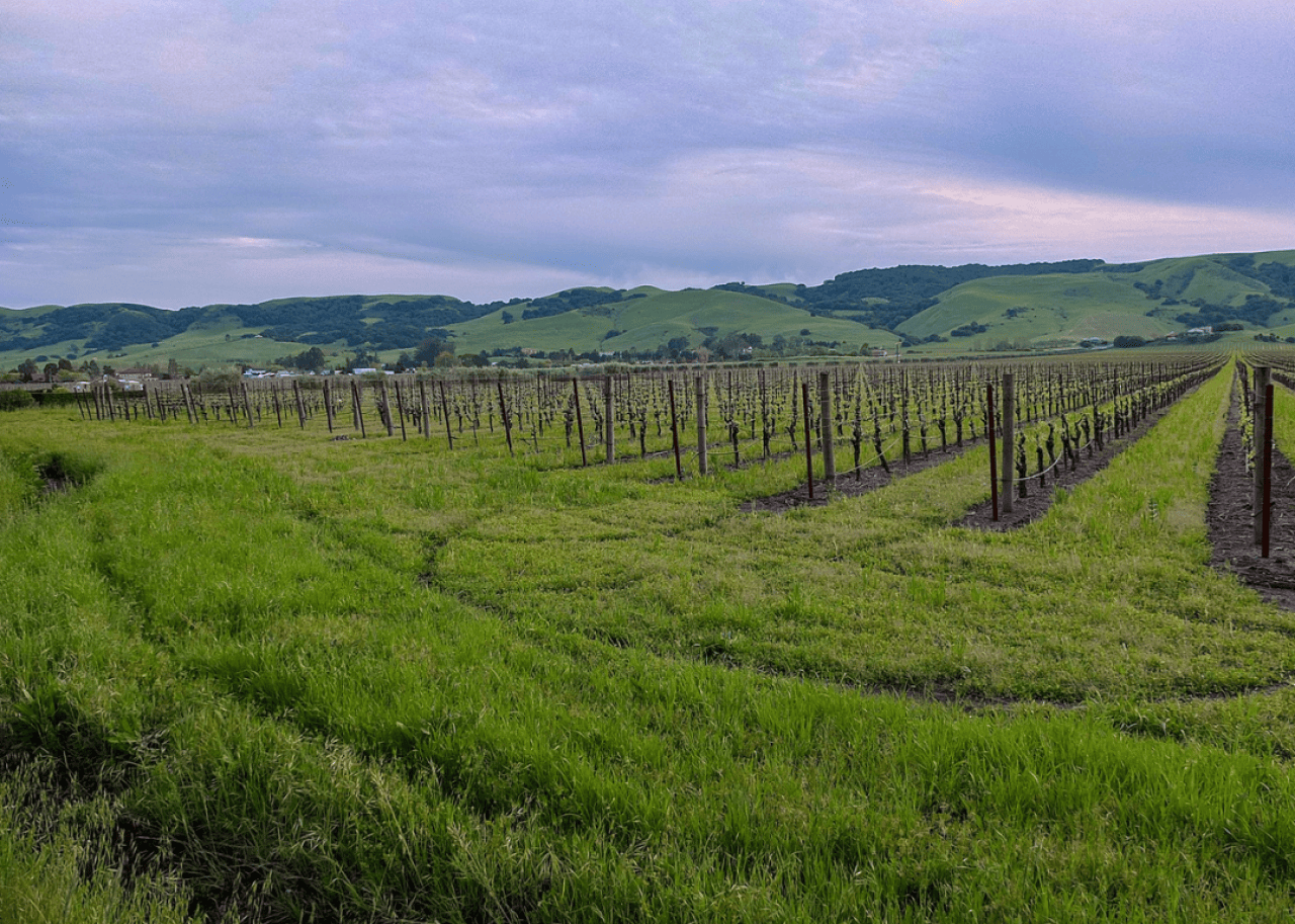 #27. Sonoma County