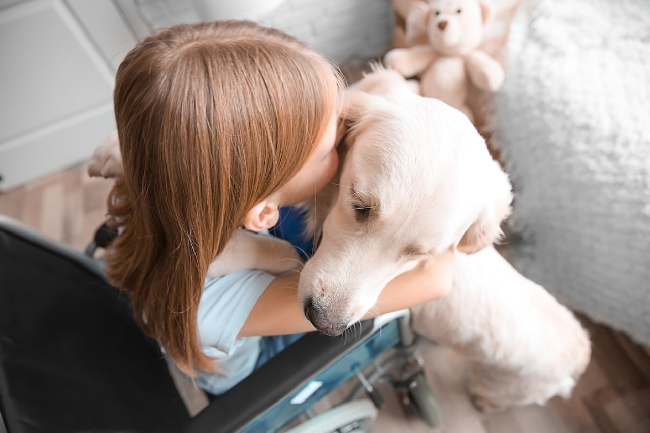 Young girl in wheelchair hugs a service dog.