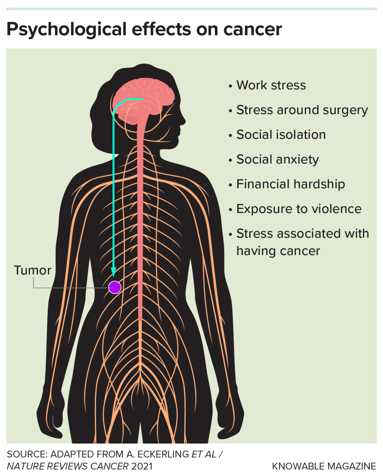 Infographic showing psychological effects on cancer.