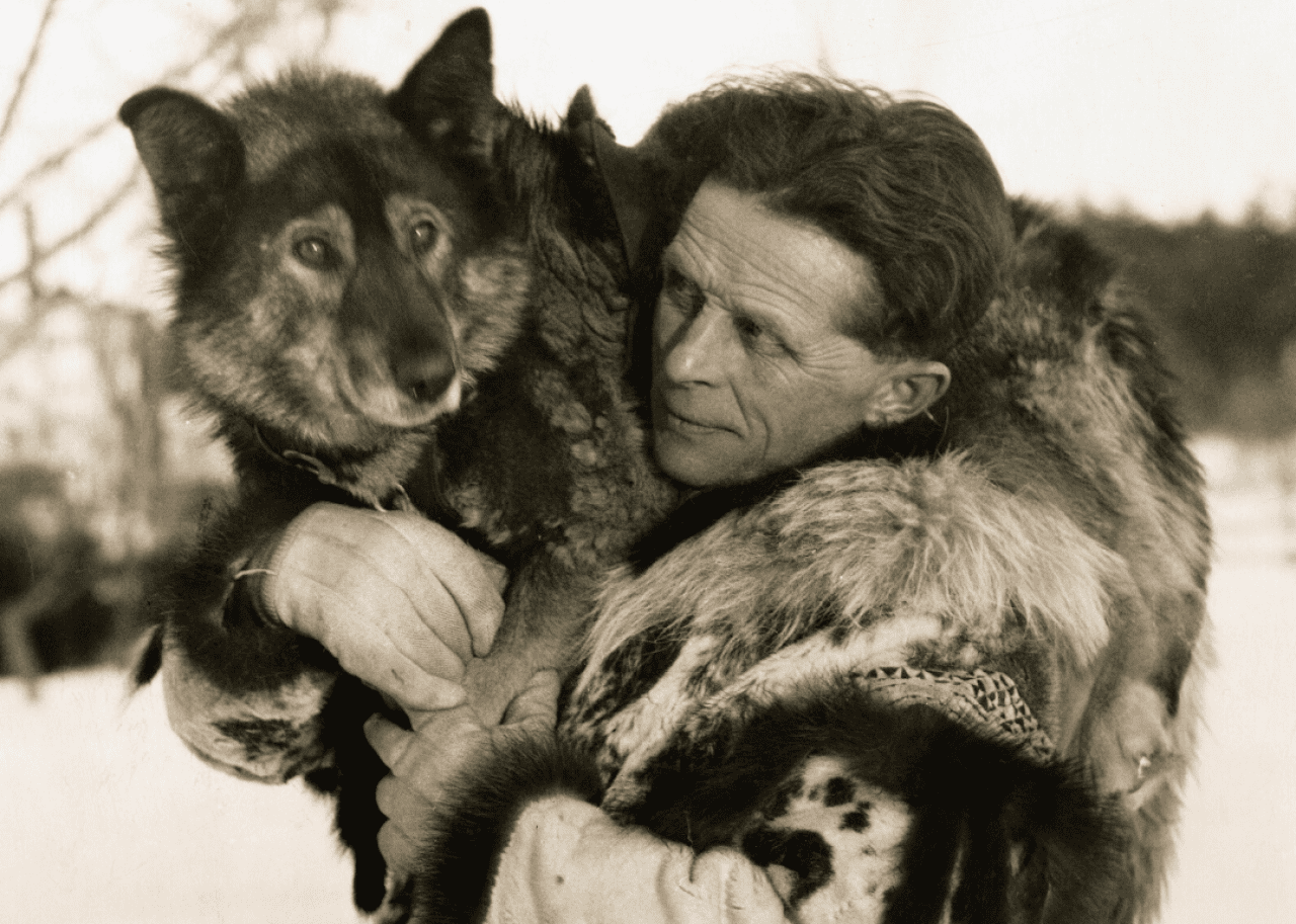 Togo the sled dog saves lives