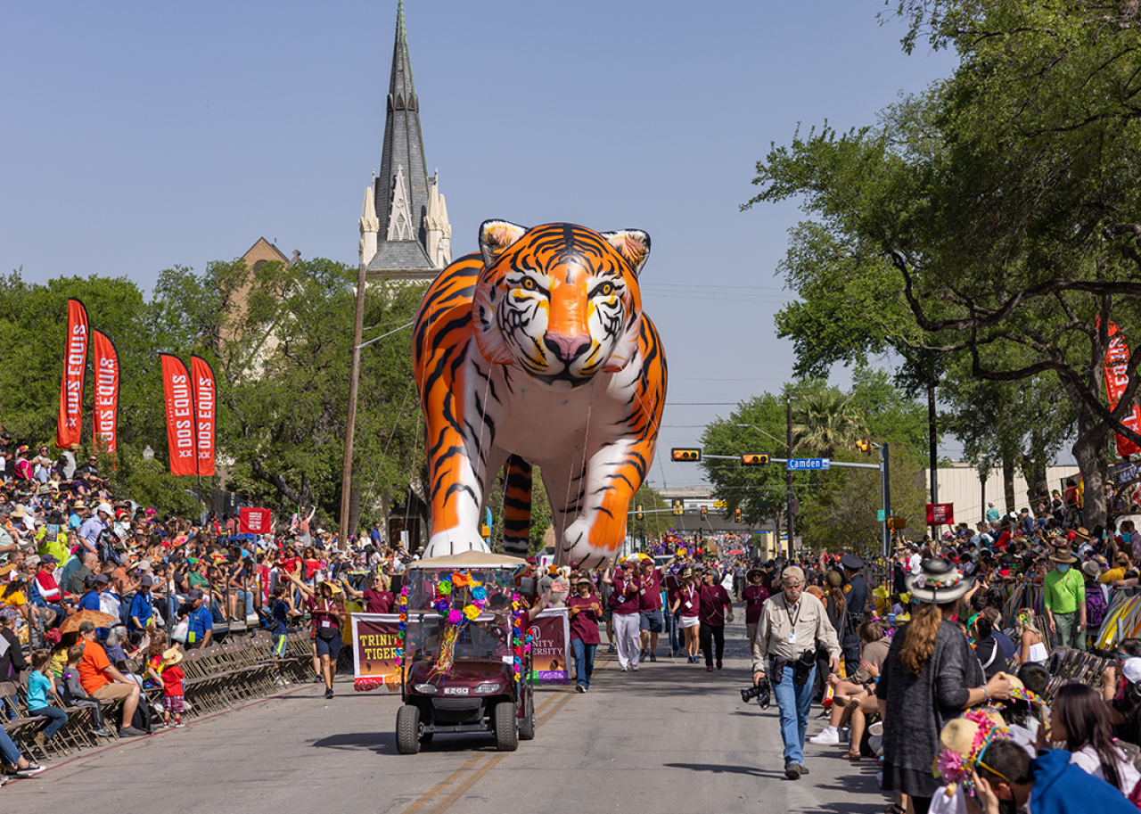 #25. Trinity University Students walk with Trinity University’s tiger balloon in the The Battle of the Flowers Parade.