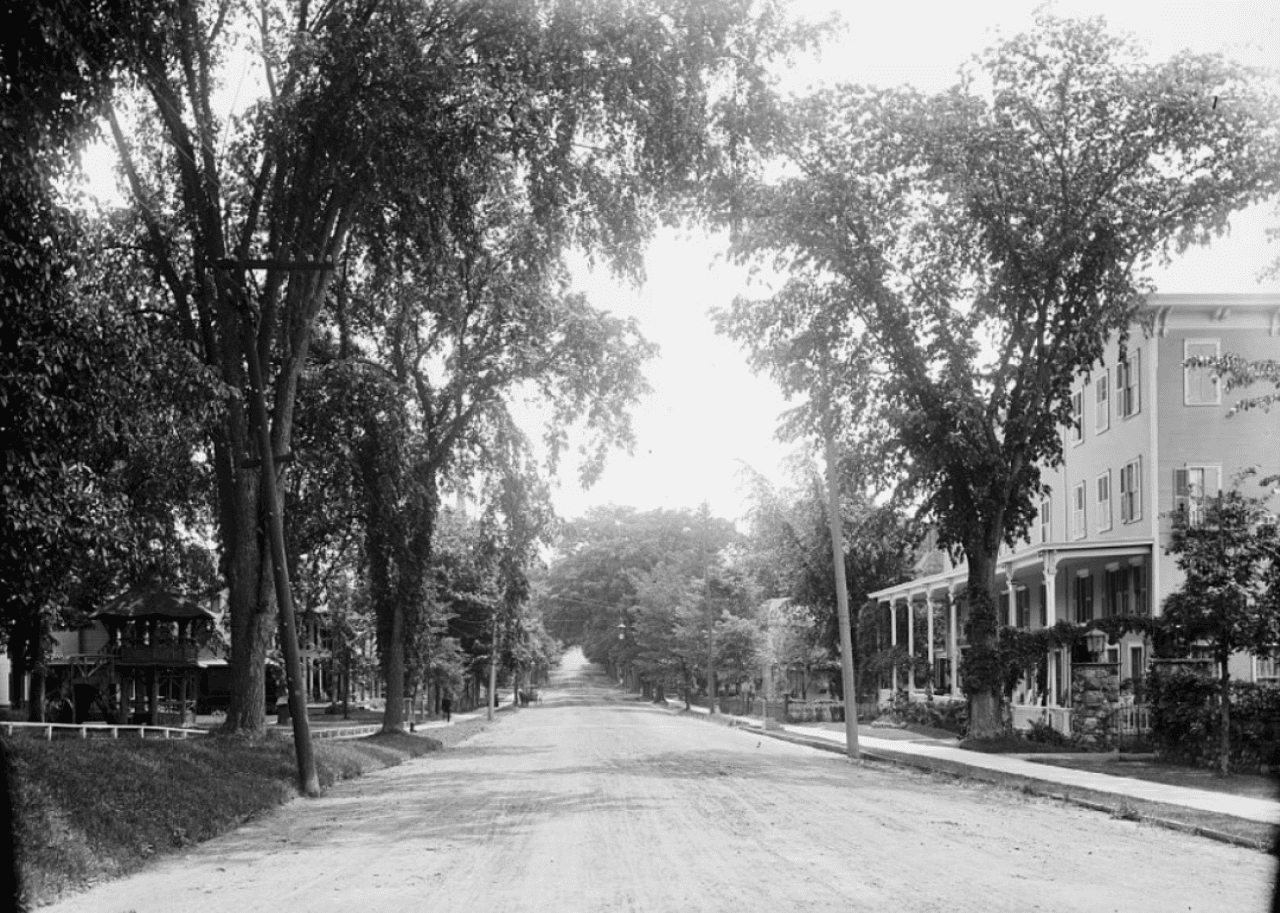 Large trees shading dirt road on residential street
