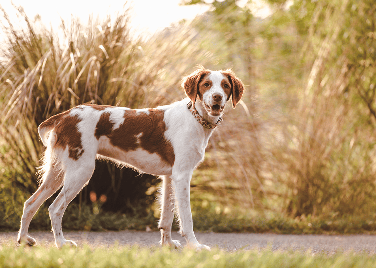 Brittney standing on path.