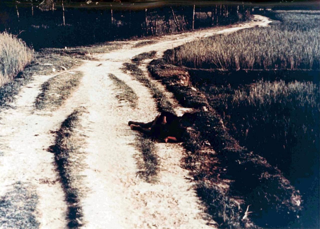 #12. Investigation of massacre committed by American soldiers at My Lai in Vietnam
