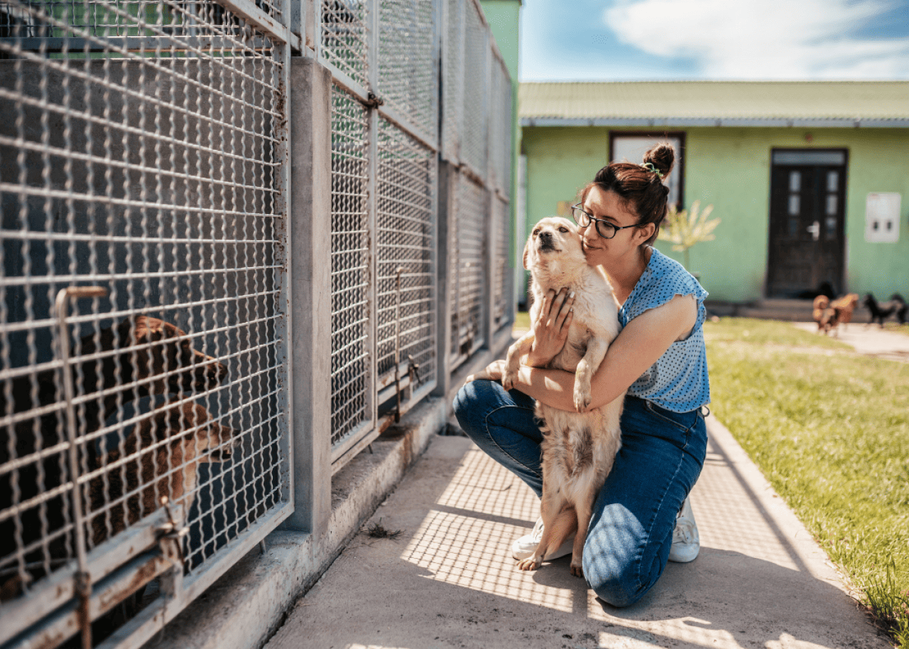 A young woman hugging a dog at a shelter. 