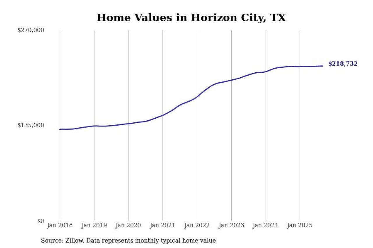 #2. Horizon City, TX