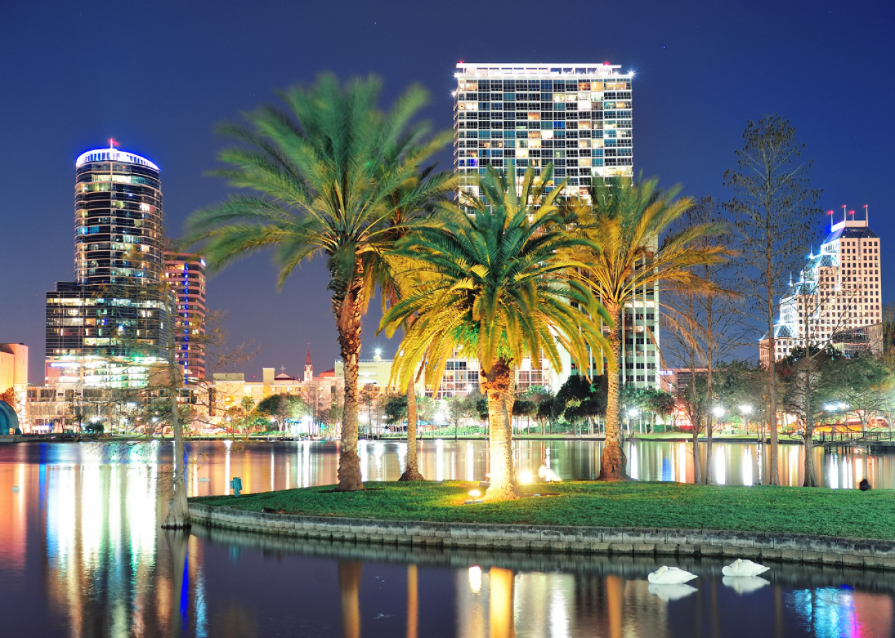 #27. Orlando, Florida Palm trees outside a building in Orlando at night.