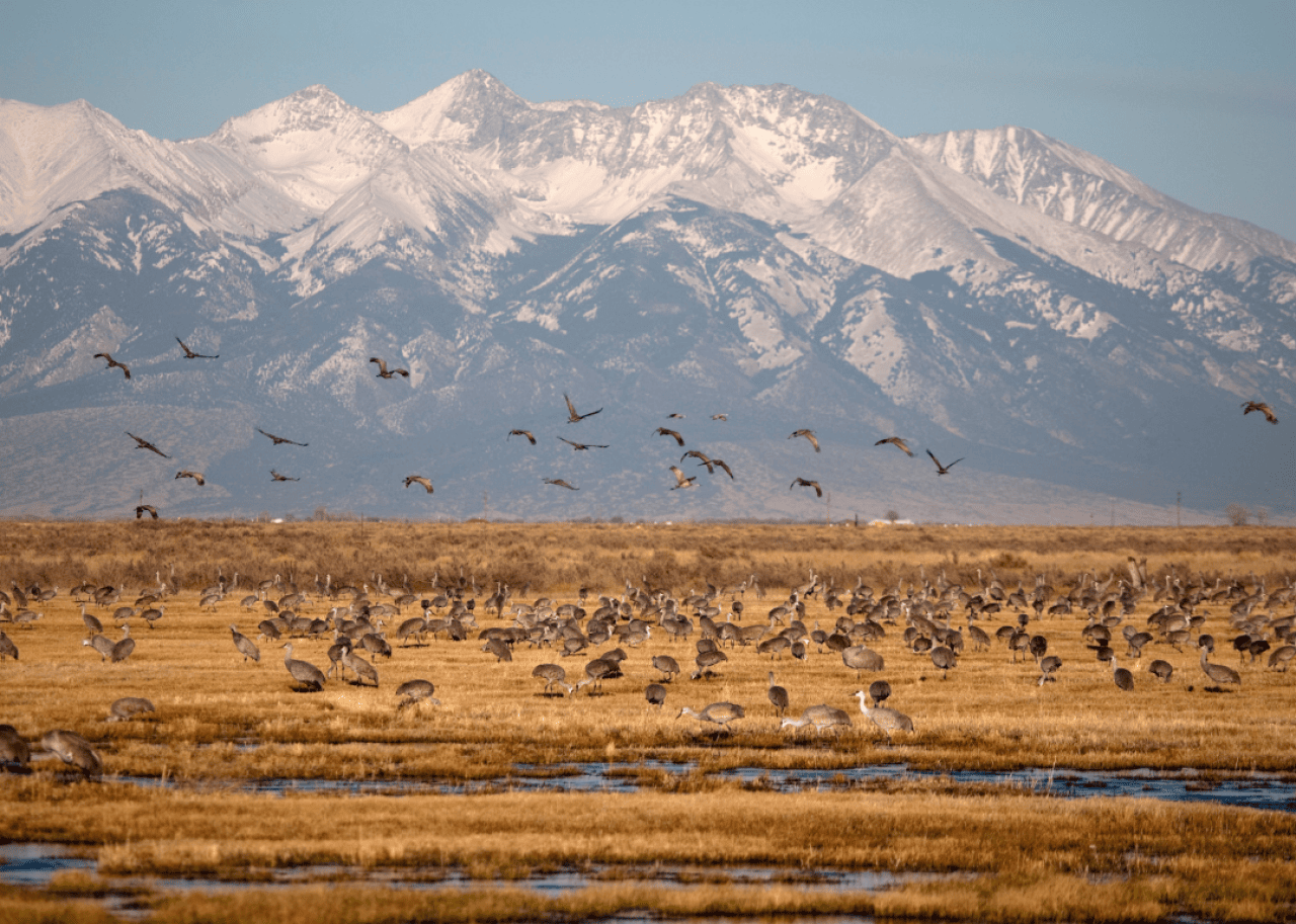 #12. Rio Grande County