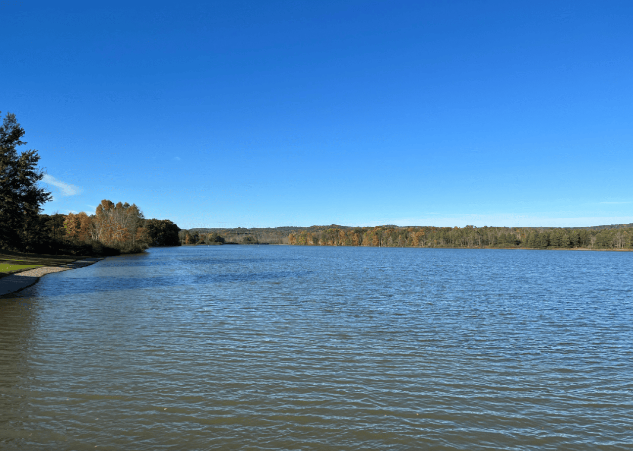 Blues skies over a body of water