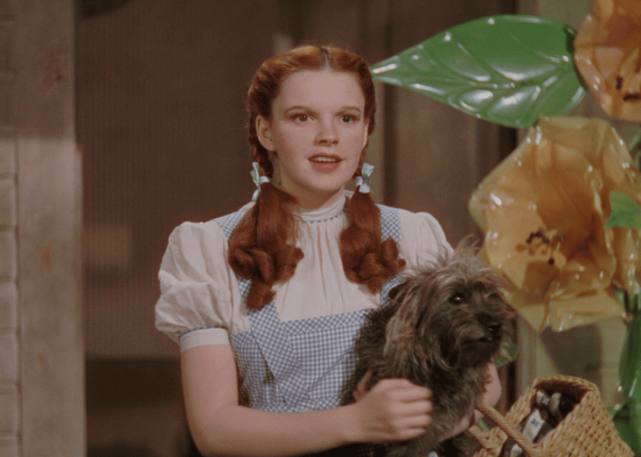 Judy Garland and Terry the dog (as Toto) in The Wizard of Oz.