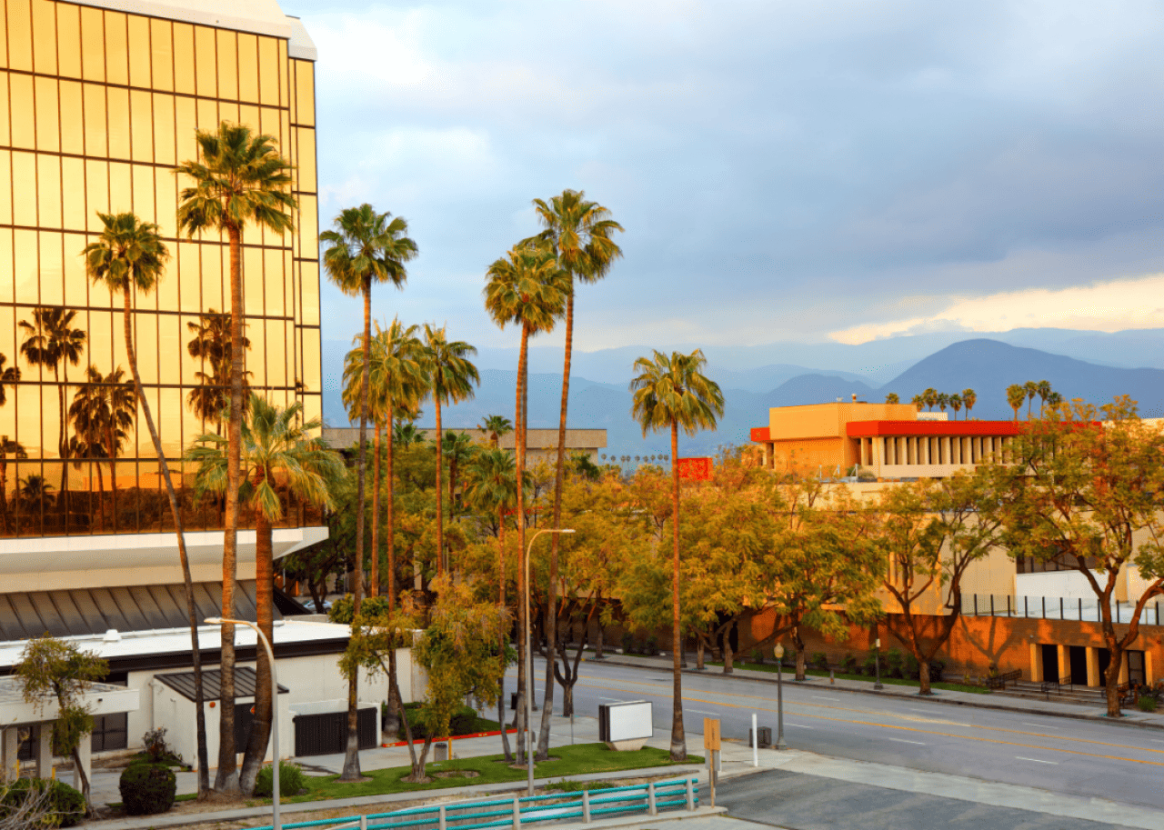 #35. San Bernardino, California Palm trees outside a building in San Bernardino.