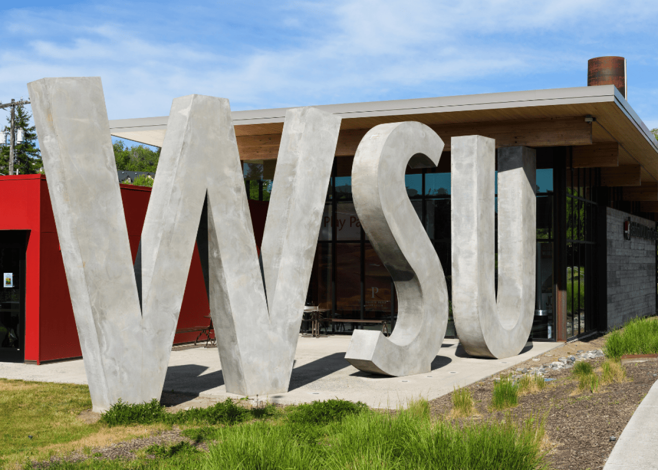 #44. Washington State University Washington State University.