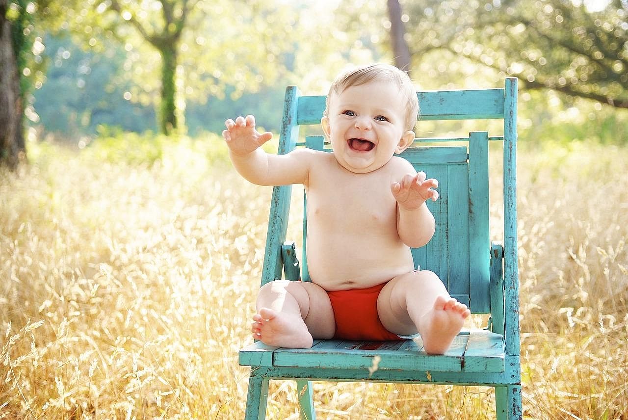#2. Noah