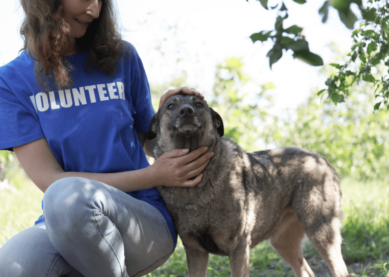 An animal shelter volunteer pets a dog outside in the grass.