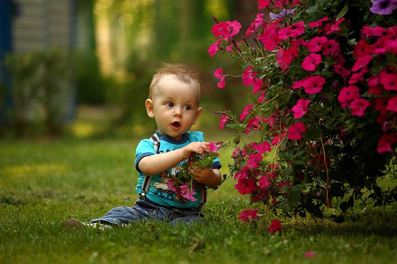 #8. Elijah