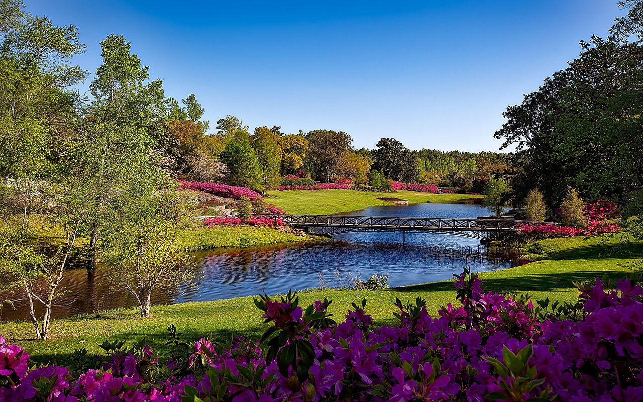 #41. Alabama