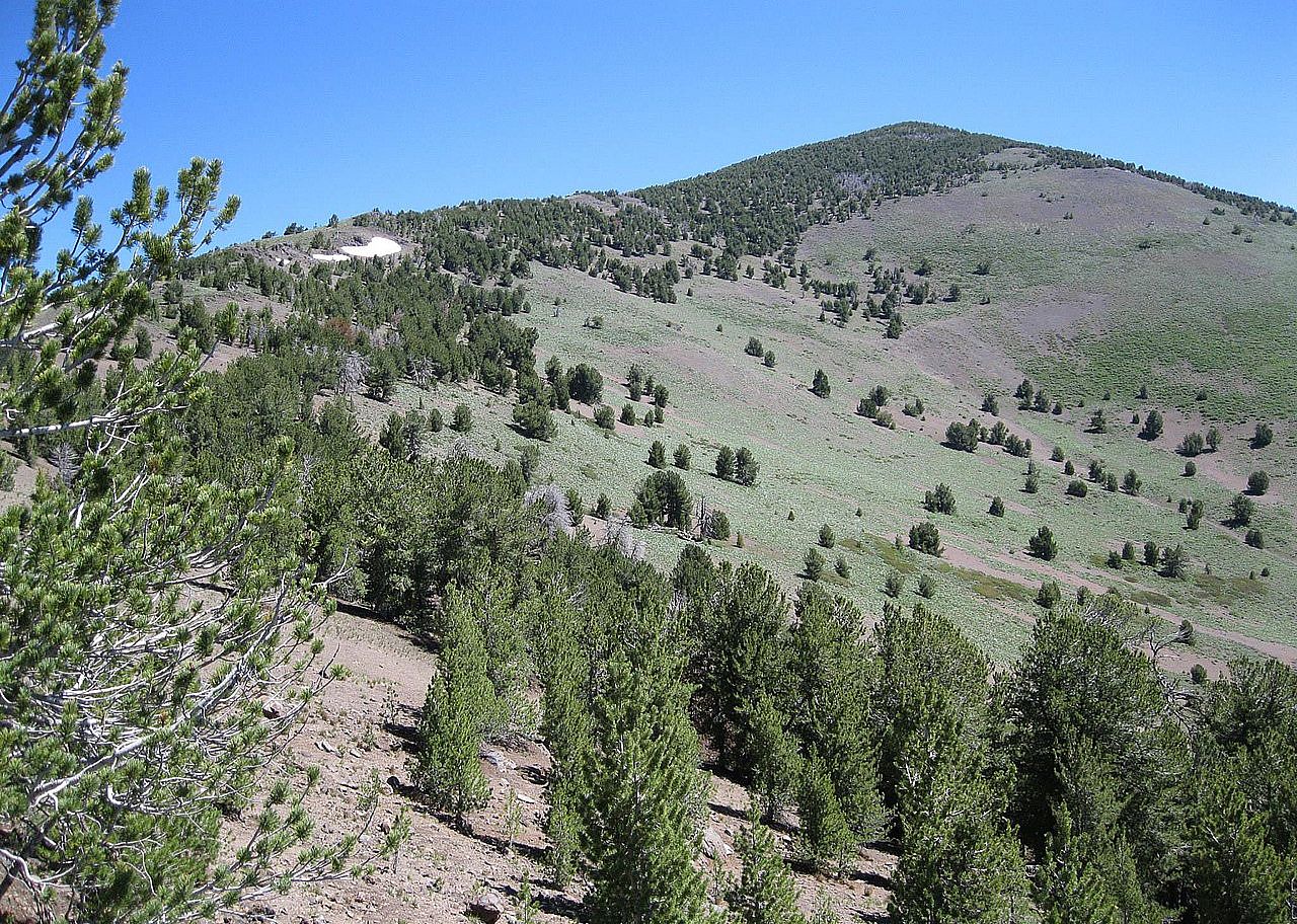 #54. Modoc County
