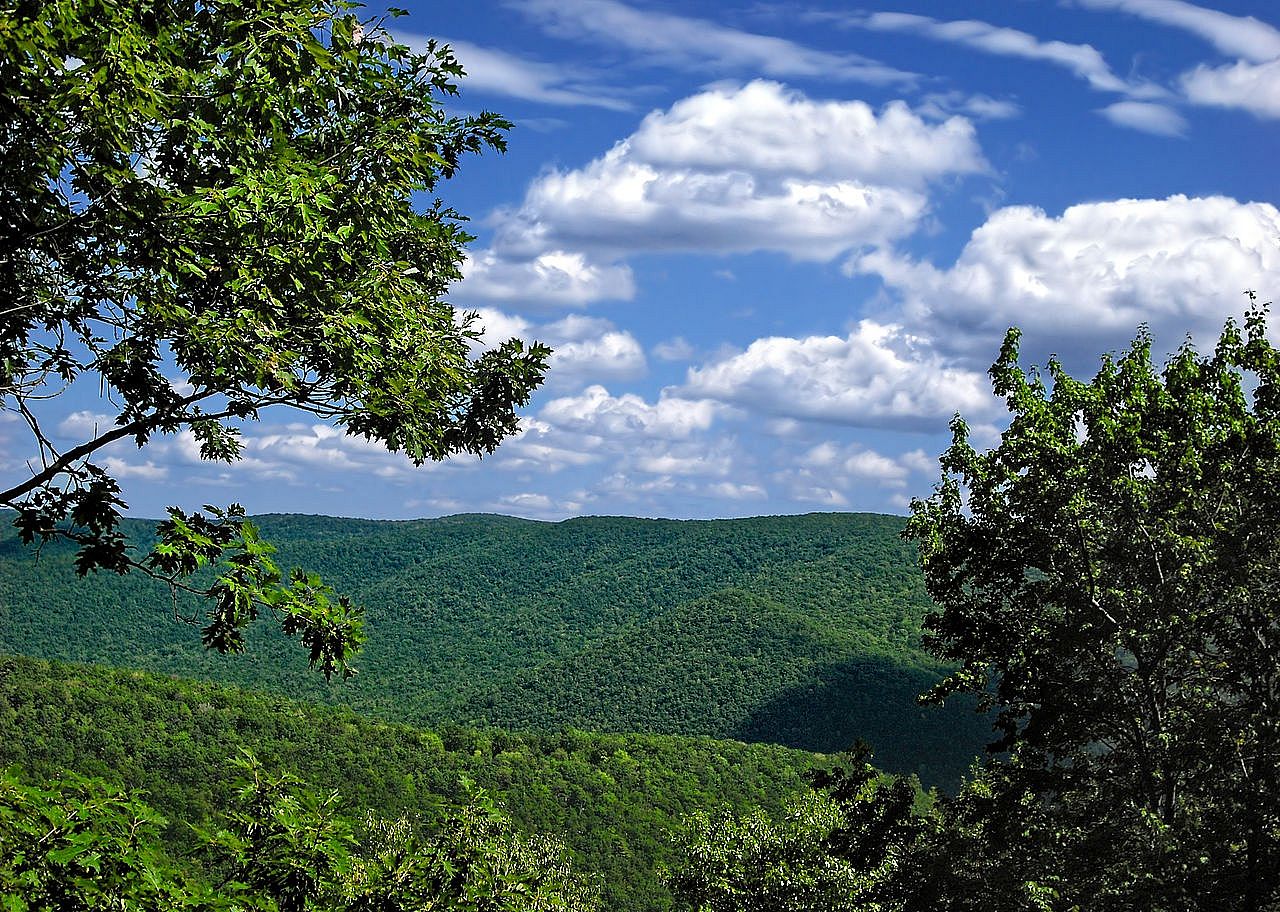 #2. Cameron County