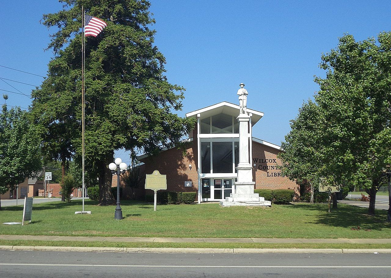 #42. Wilcox County (tie)
