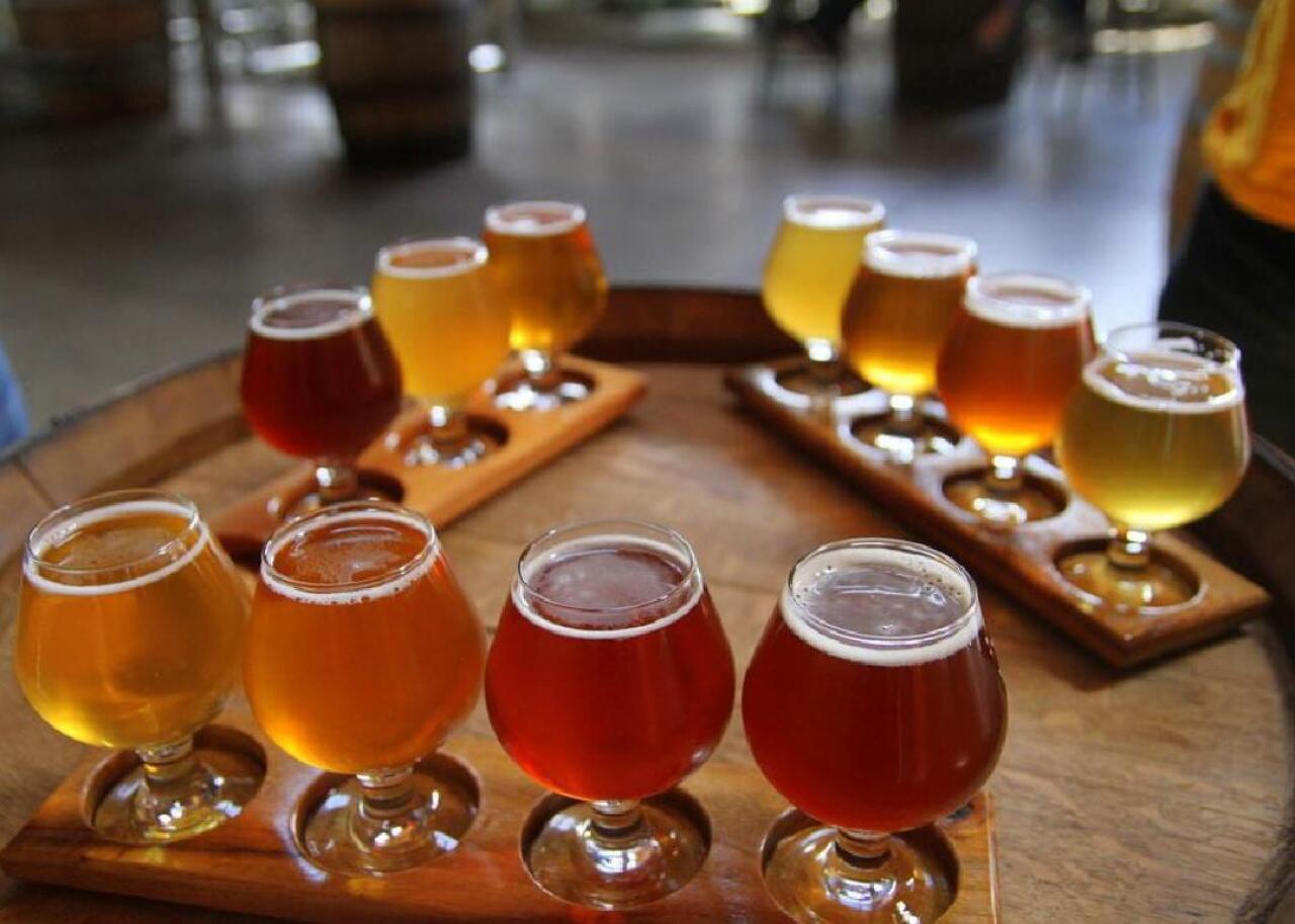 Flights of beer are waiting to be sampled.