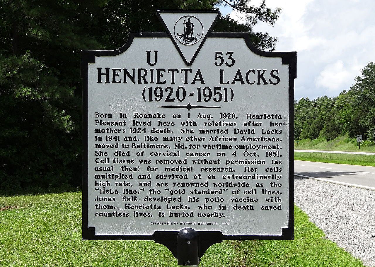 1951: HeLa continuous cell line established