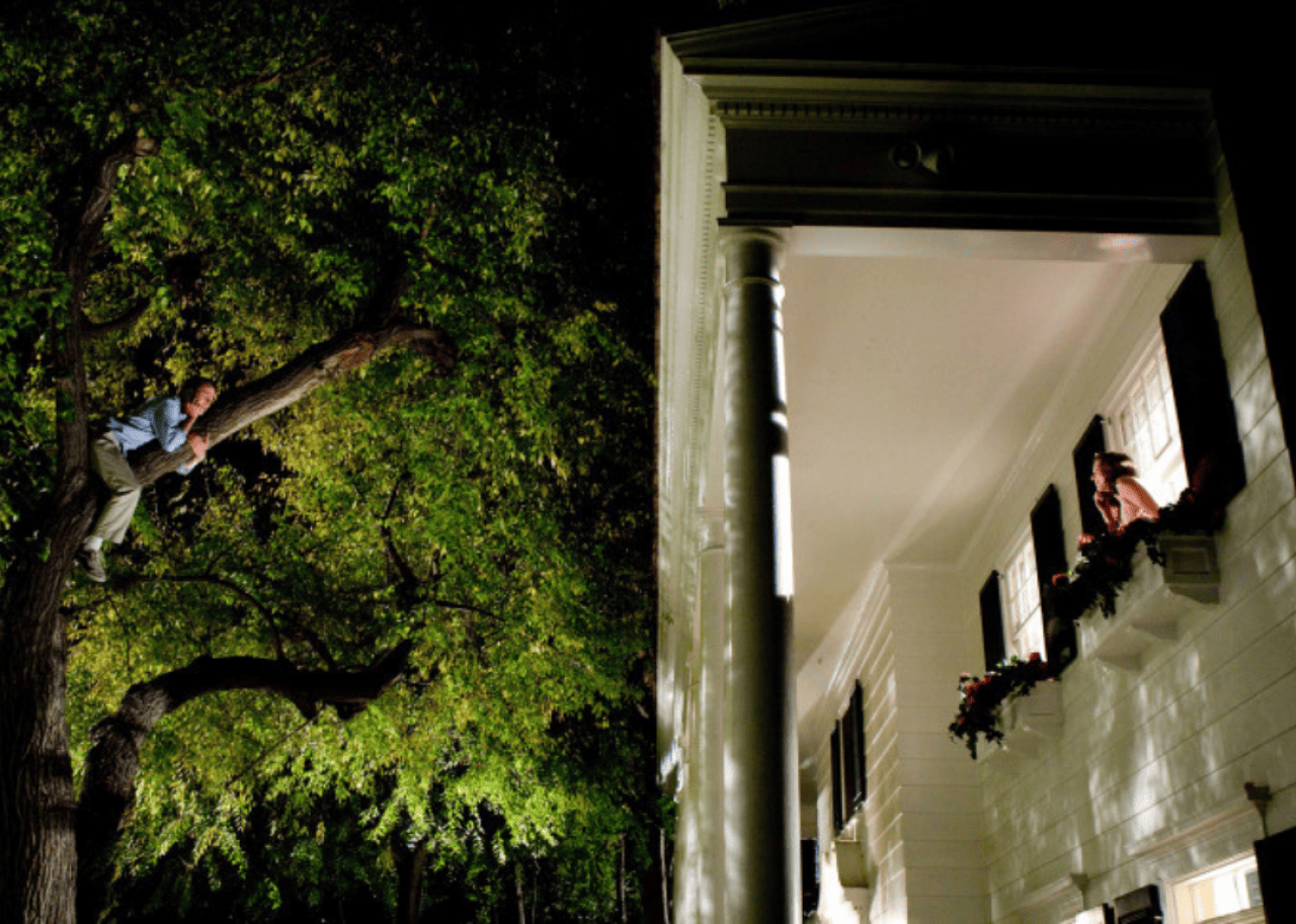 A guy in a tree talking on the phone to a girl in the window next to him.