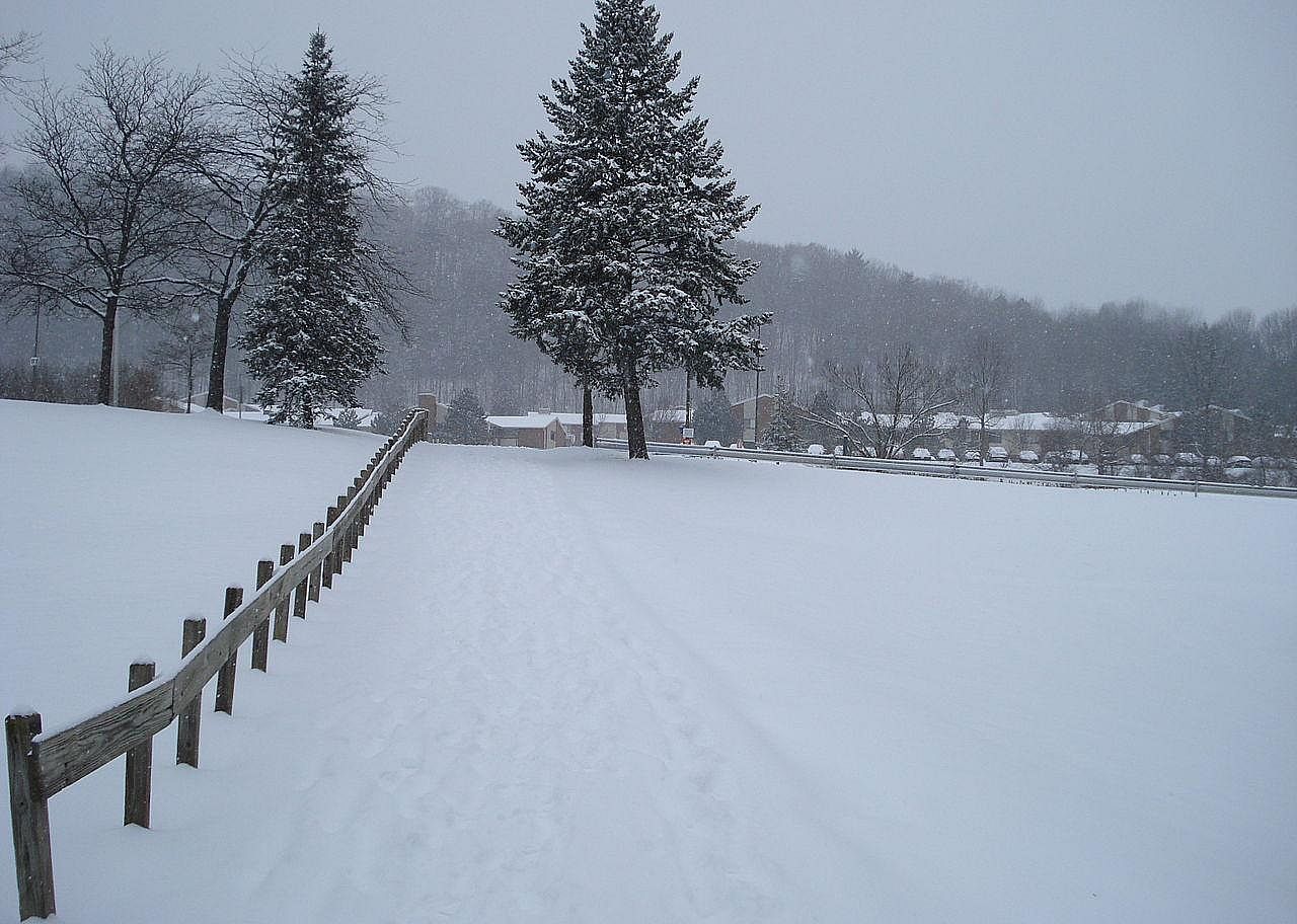 #56. Binghamton, New York
