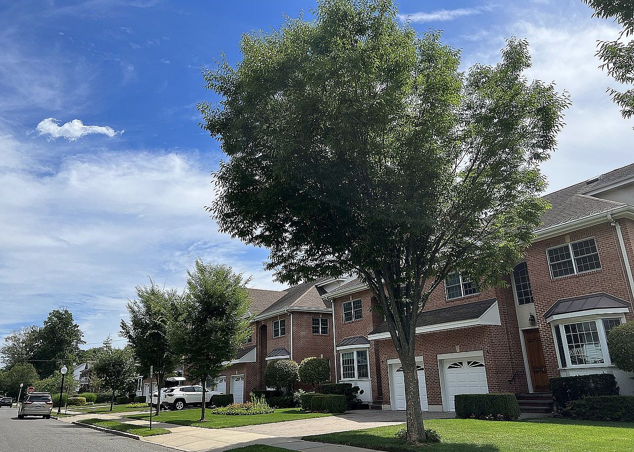 A street of matching brick homes.
