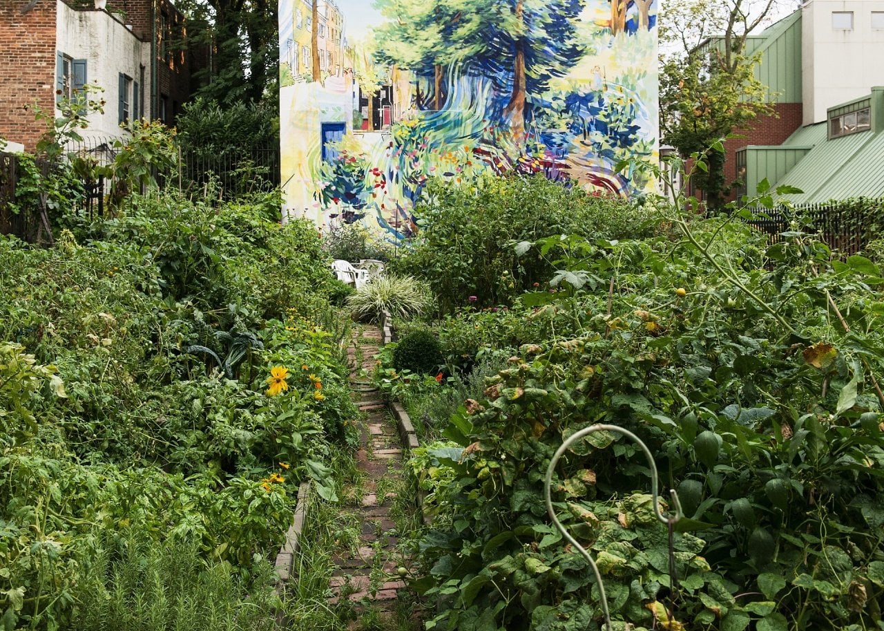 Urban community garden in Philadelphia with a nature mural on the side of a building.
