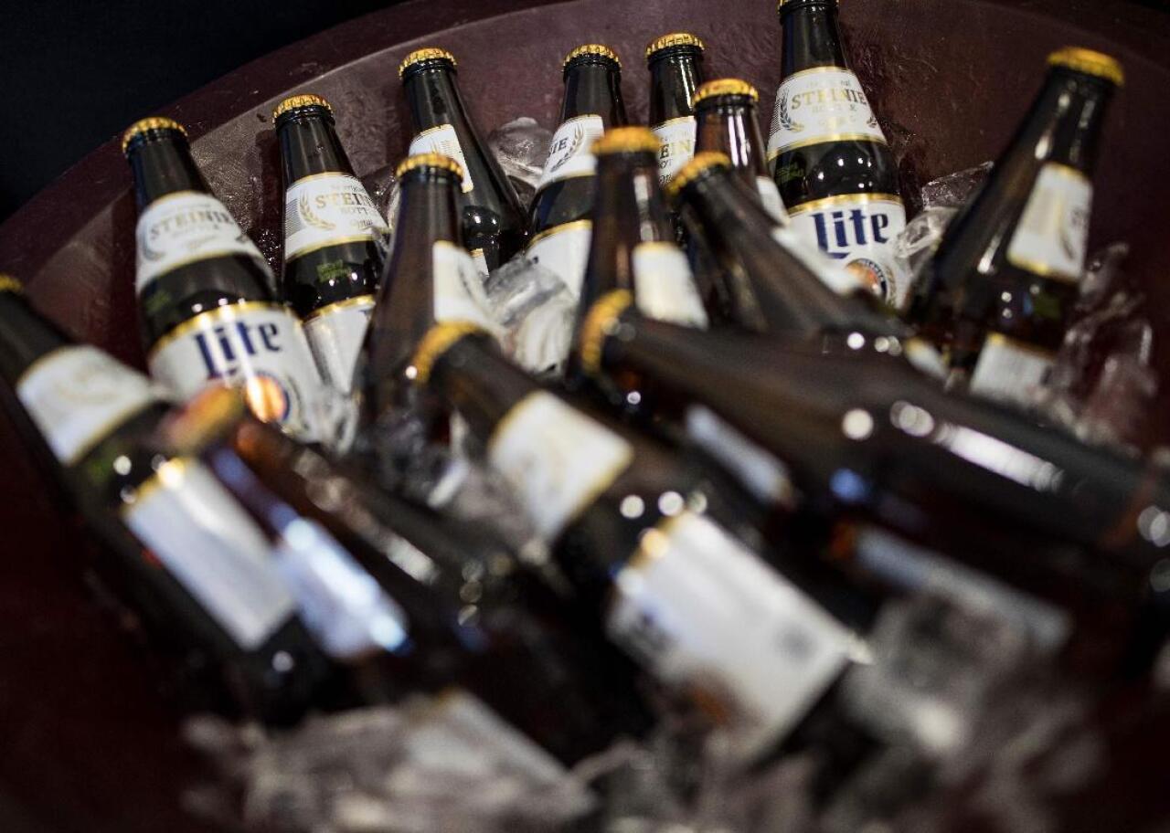Bottles of Miller Lite are chilled on ice.