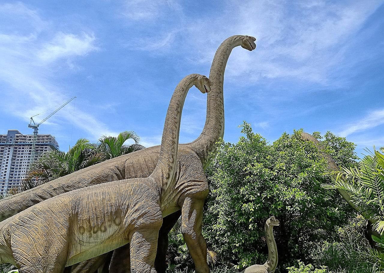 Answer #9: What is herbivore?