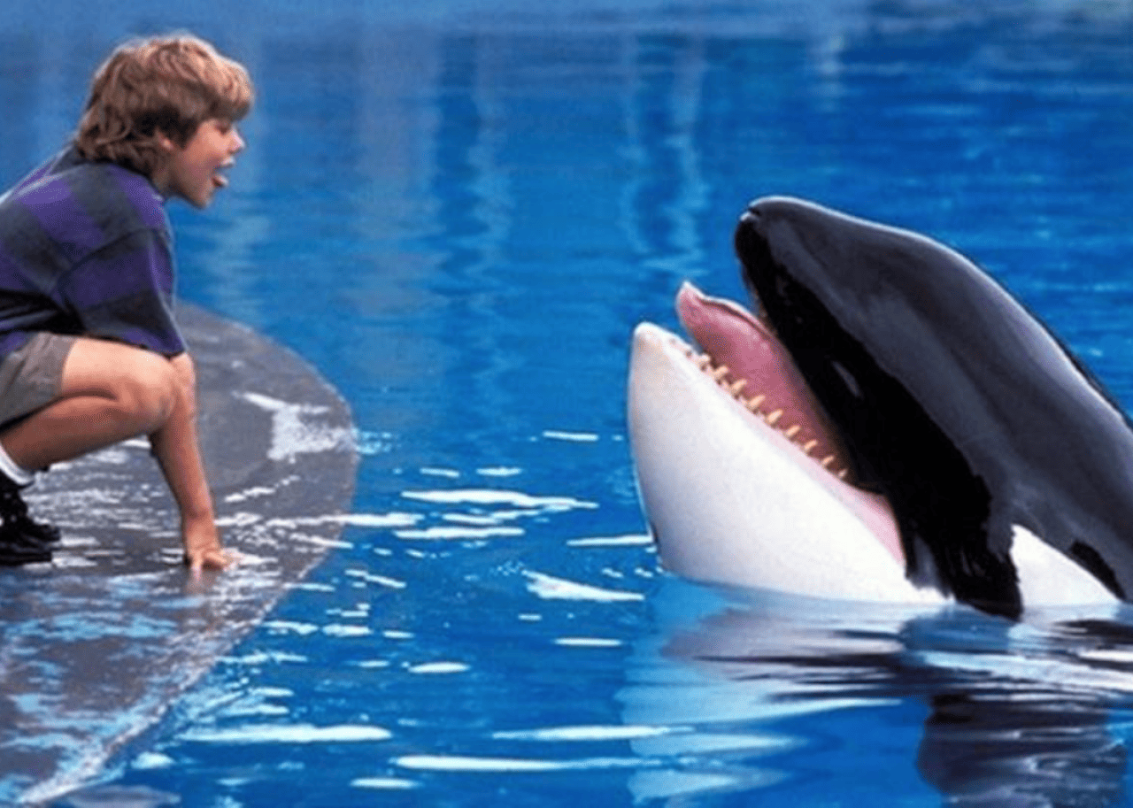 A boy and a whale sticking their tongues out at each other.