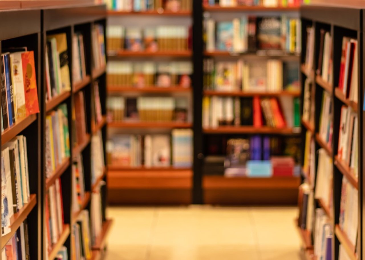 Books on shelves in a book store.