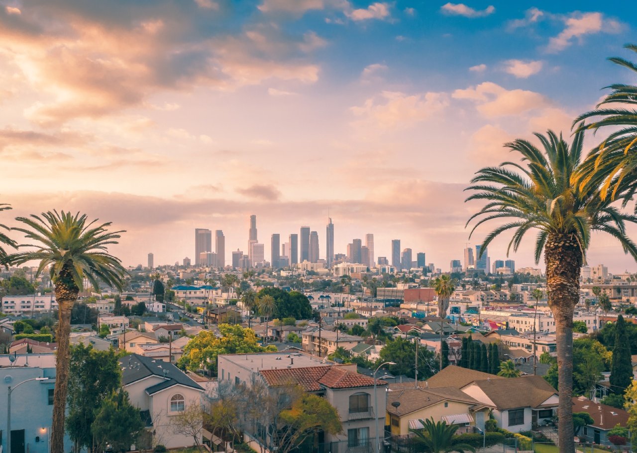 A city's skyline viewed from a distance with palm trees and residential areas closer in view. 