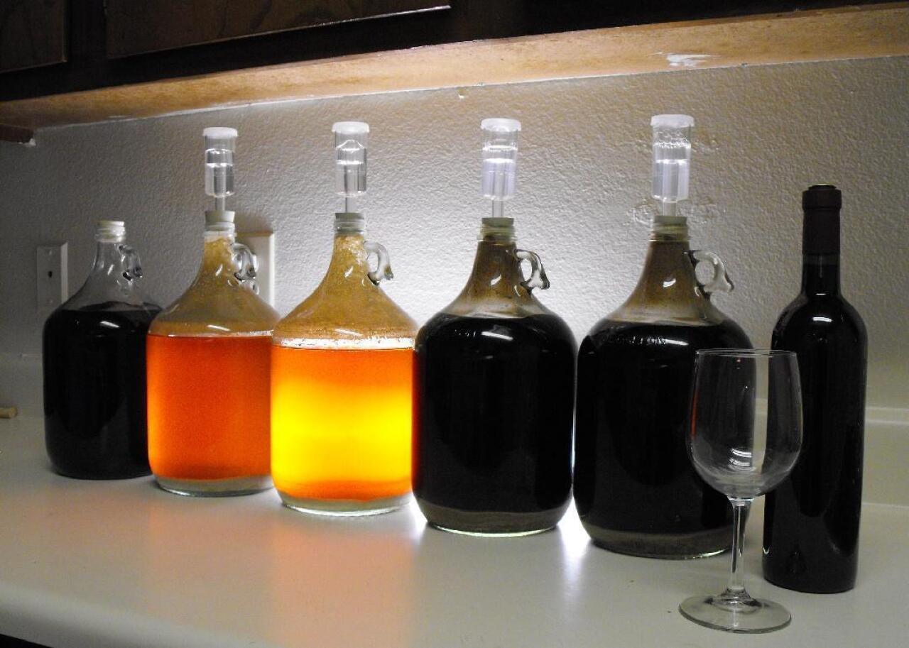 Several large containers filled with homebrew sit on a counter.