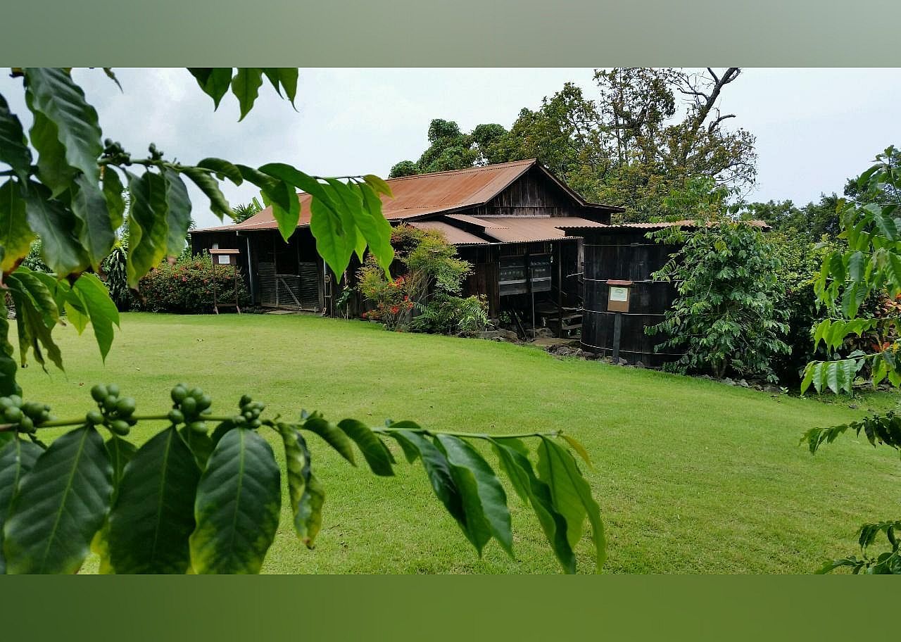 #13. Kona Coffee Living History Farm