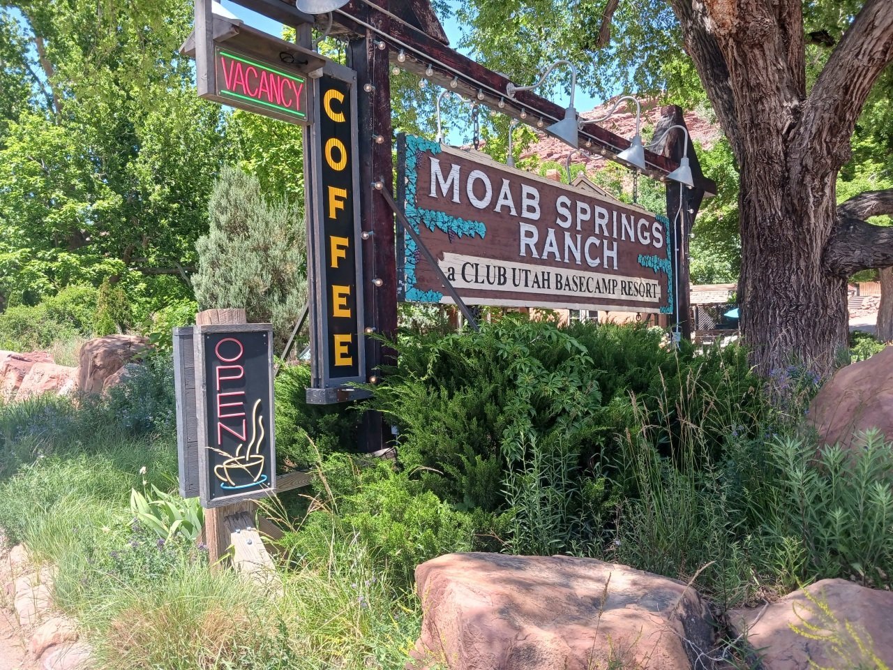 A signpost at the entrance of the Moab Springs Ranch welcoming visitors with trees and plants.