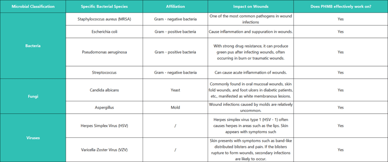Table listing data on microbial classifications and their impact on wounds.