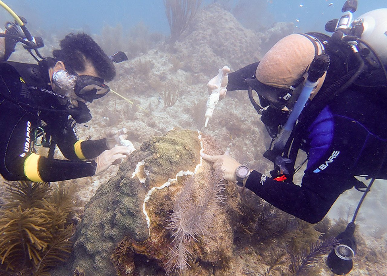 Two members of Force Blue underwater, repairing a coral reef.