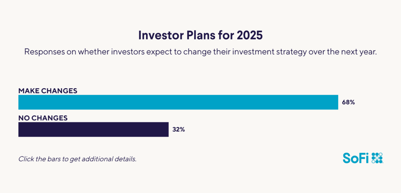 Investor plans for 2025.
