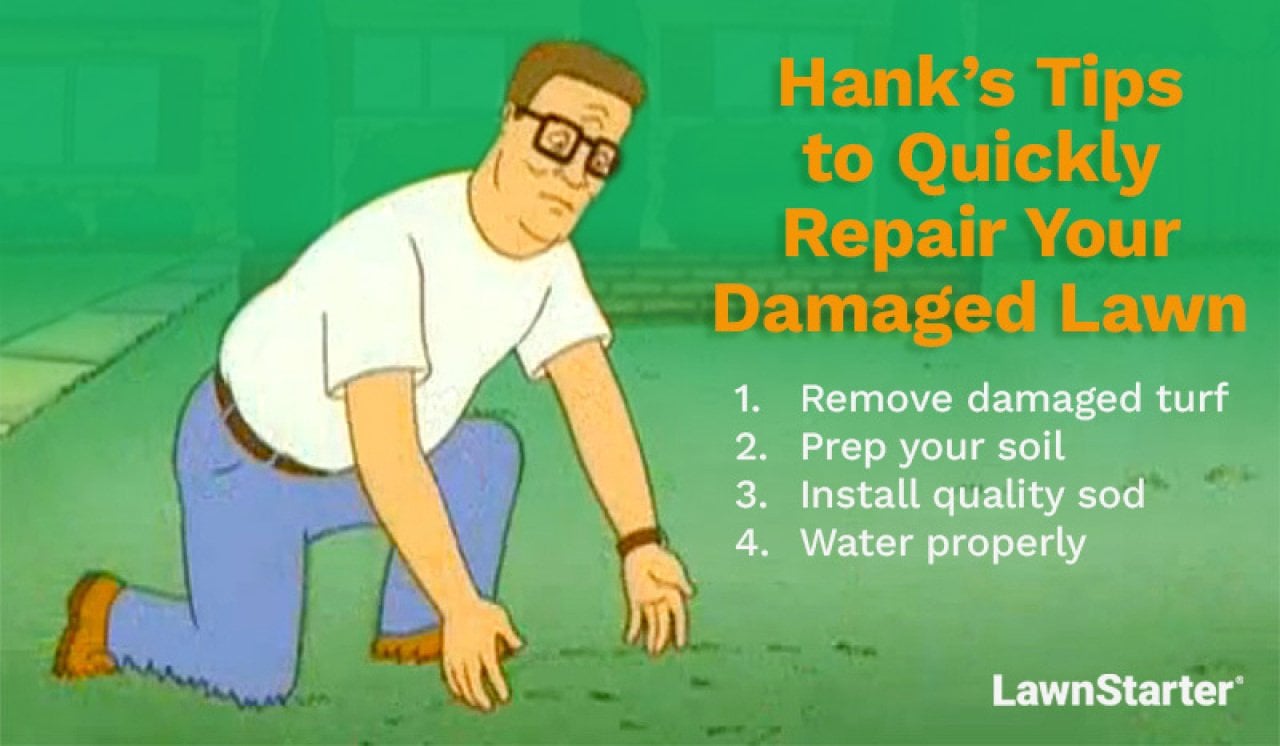 Illustration showing Hank Hill taking care of his lawn and a list of Hank's tips to quickly repair your damaged lawn.